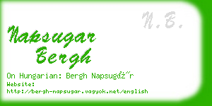 napsugar bergh business card